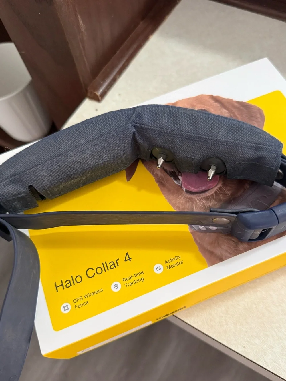 Halo collar have